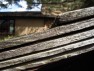 Talisein - Notice how even the edge detail of the cedar shingle roof photographs well.