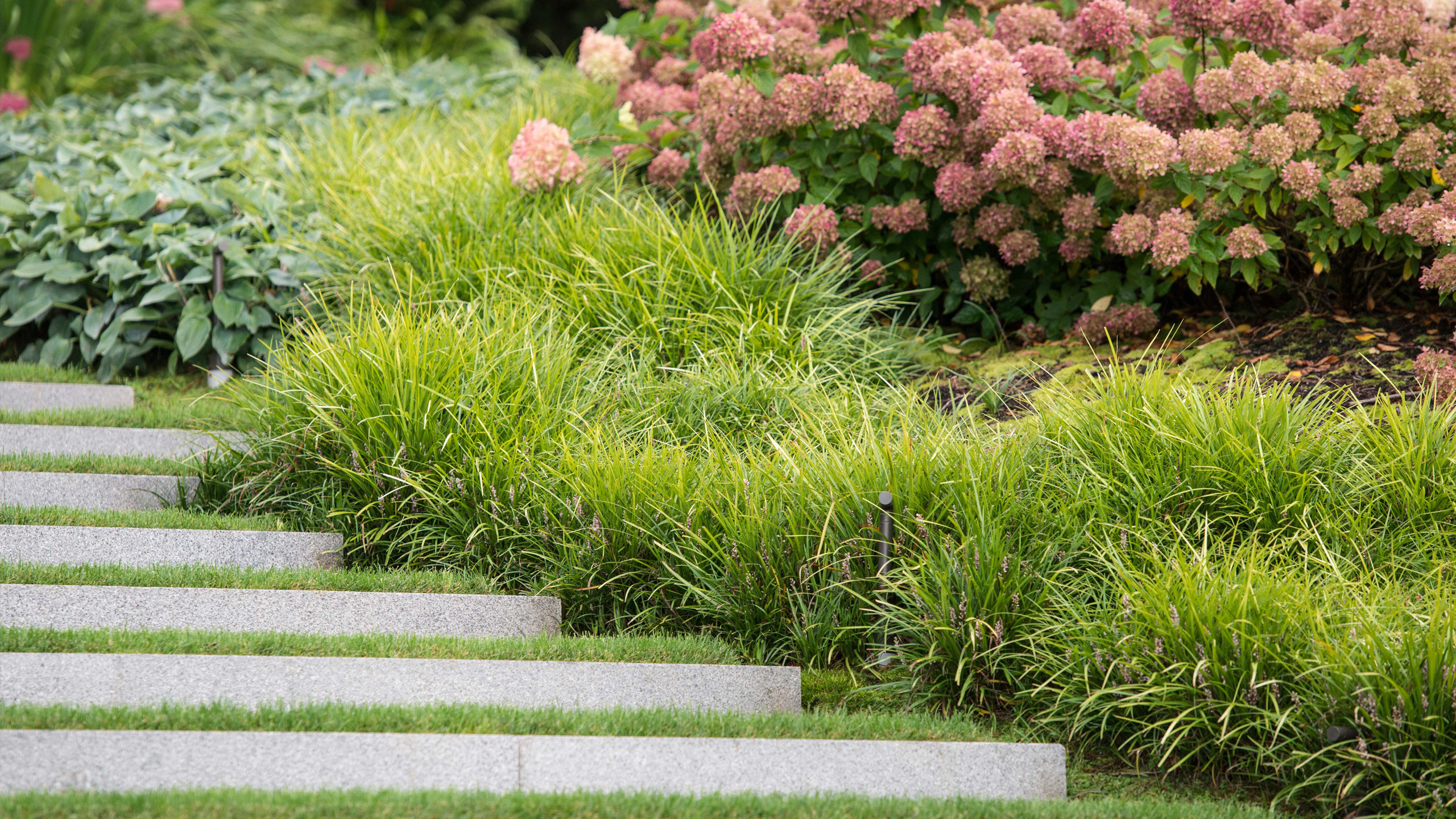 The B&V Blog Board & Vellum