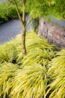 Bainbridge Island Residence – Arced Retaining Wall – Board & Vellum Landscape