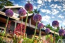 Bainbridge Island Residence – Arced Retaining Wall – Board & Vellum Landscape