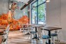 Oasis Tea Zone Capitol Hill – Orange art installation visible from street. – Retail Café Design