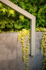 Metal railing attaches to concrete wall. – Urban Yard at The Seattle Box – Board & Vellum