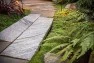 Lush green ferns with natural pavers. – Urban Yard at The Seattle Box – Board & Vellum