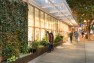 Landscaped retail streetscape at Club Monaco – Board & Vellum