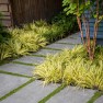 What's Blooming: Colors & Textures of Winter – Board & Vellum Site Design & Landscape Architecture