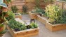 Central District Edible Garden – Board & Vellum – Landscape Architecture & Site Design