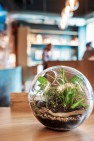 Footprint Wine Tap – Wine Bar Capitol Hill – Board & Vellum