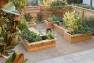 Central District Edible Garden – Board & Vellum – Landscape Architecture & Site Design