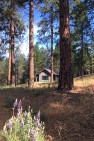 Cabins in Eastern Washington – Board & Vellum