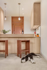 A black and white dog relaxes on the floor, in this Petite Condo Kitchen, by Board & Vellum.