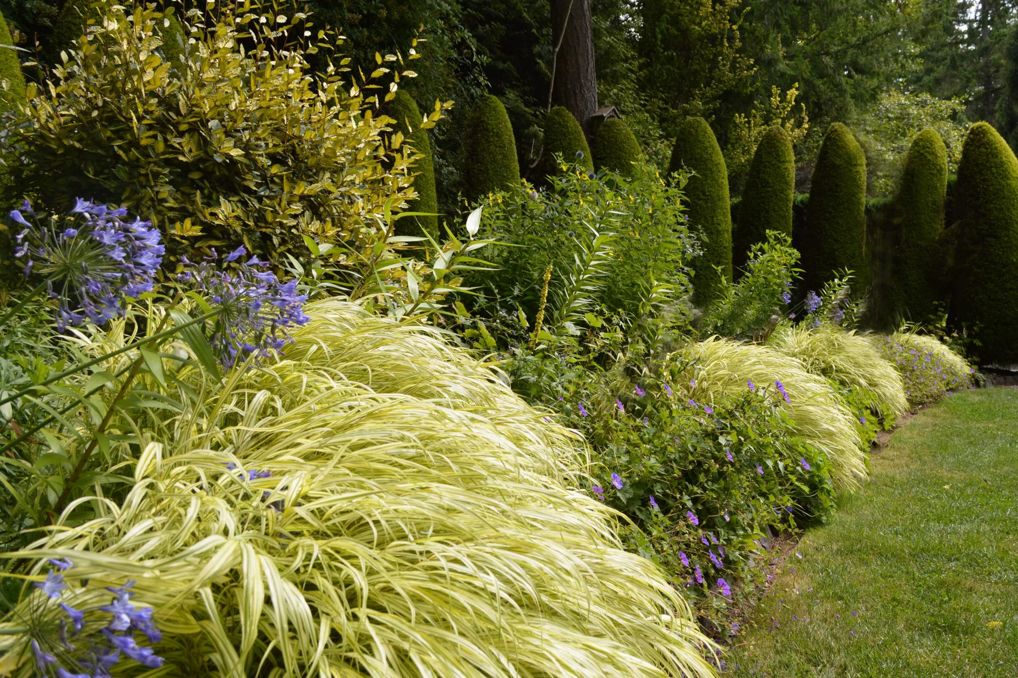 Creating Vibrant Layers in Your Garden – Board & Vellum