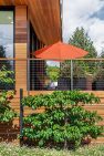 Cloverdale House – Second Story Addition by Board & Vellum