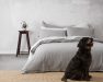 Sustainable bedding: Bhumi Organic Cotton Flannel — bed with a dog in front.