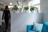 Healthier Office Spaces