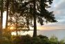 Looking out over the water in Olympia, WA. The sun is setting through the trees.