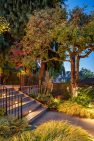 A photograph of some plantings along the patio and deck stairs. They're illuminated by lighting along the stairs and under the plants themselves. Because of the lights, the plants glow a soft yellow even in the twilight.