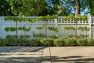 A straight-on photograph of the home's front fence. The fence is white and fronted by espalier trees with their branches coaxed into right angle from the trunk. – Residential landscape architecture by Board & Vellum.