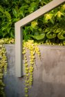 Detail of a metal railing meeting a concrete retaining wall with plants trailing down. – Landscape architecture details at Board & Vellum.