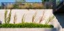 Delicate climbing vines break up the expanse of a concrete wall with visual interest, almost like a vegetated mural. – Laurelhurst Landscape at the Tree+House – Board & Vellum