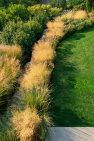 An arc of frothy grasses softens the lawn edge as it transitions to larger plants stepping down the hill. – Laurelhurst Landscape at the Tree+House – Board & Vellum