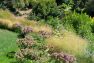 Soft grasses accented with clumps of flowering plants taking in the sun create a meadow-like landscape. – Laurelhurst Landscape at the Tree+House – Board & Vellum