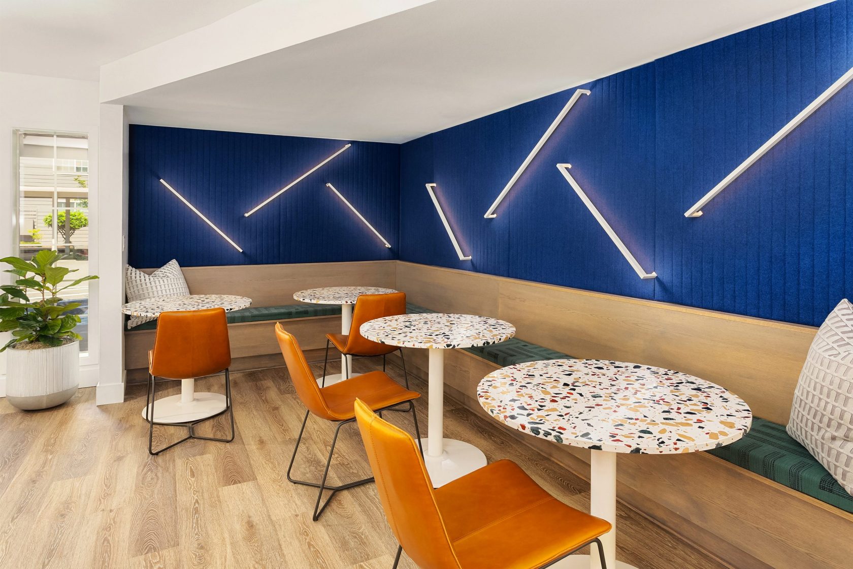 Canopy Apartments Board & Vellum