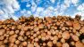 A stack of raw lumber with a blue sky behind them.