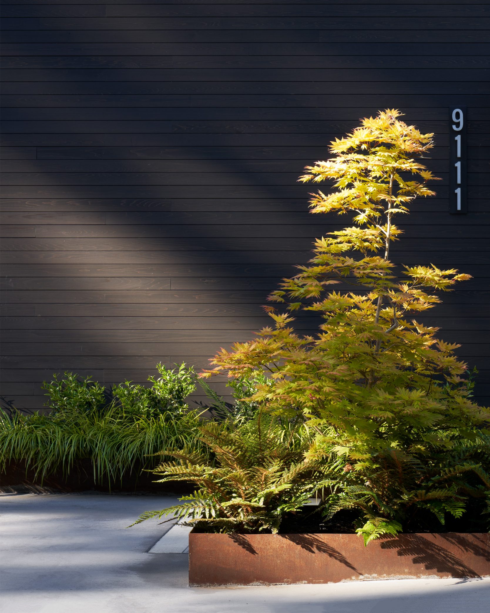 Landscape at Makai House – Board & Vellum