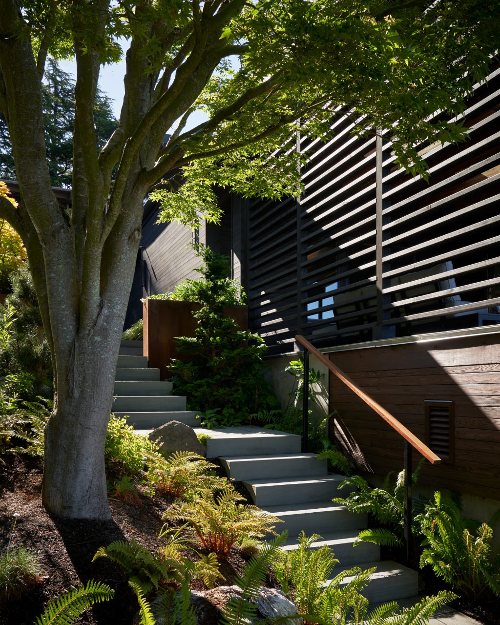 Landscape at Makai House – Board & Vellum