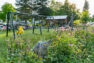 An image of a public park. In the foreground is a decorative boulder surrounded by a variety of flowering plants that are pink, yellow, orange, and green. Beyond the garden of flowers is a swing set with children swinging, a play structure, and a covered picnic area.