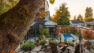 The terraced yard of a single-family home’s refreshed exterior. In the foreground is a large, mature tree, under which sits a small gathering area of wooden lounge chairs and a wood burning fire pit. Lower in the yard, behind the fire pit, is a lap pool and patio near the home’s solarium. | Landscape Architecture by Board & Vellum
