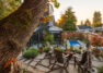 The terraced yard of a single-family home’s refreshed exterior. In the foreground is a large, mature tree, under which sits a small gathering area of wooden lounge chairs and a wood burning fire pit. Lower in the yard, behind the fire pit, is a lap pool and patio near the home’s solarium. | Landscape Architecture by Board & Vellum