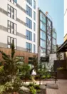 Forested central courtyard at Tanager Apartments with ferns, ground cover, and a boardwalk path. – Tanager Apartments – Board & Vellum