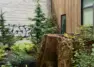 Living nurse stump and native plantings along the boardwalk in Tanager Apartments' courtyard. – Tanager Apartments – Board & Vellum