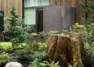 Salvaged nurse stump sprouting new plant growth in Tanager Apartments' forested courtyard. – Tanager Apartments – Board & Vellum